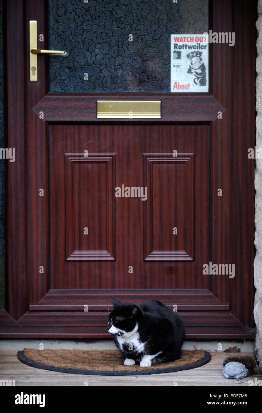 A CAT SITTING ON A DOORSTEP WITH A ROTTWEILER DOG WARNING SIGN ON THE HOUSE FRONT DOOR UK Stock Photo