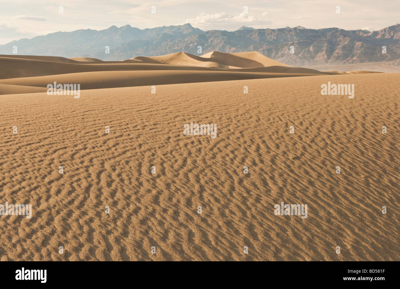 Sand dunes in the desert Stock Photo