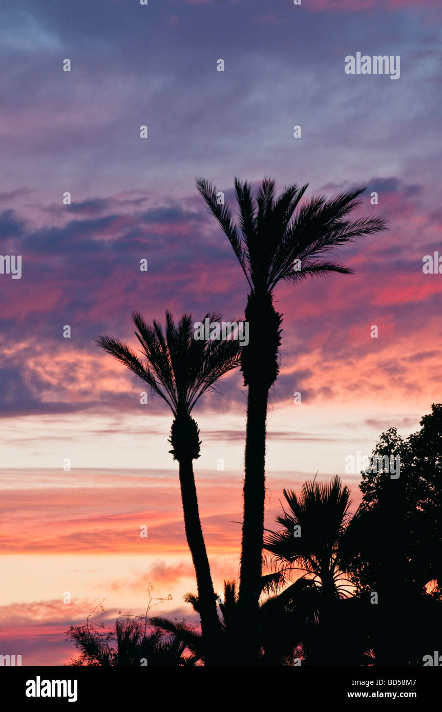 Power of trees hires stock photography and images Alamy