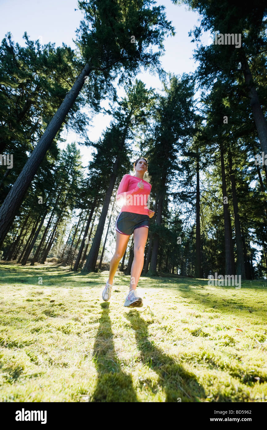 A runner in the woods Stock Photo Alamy