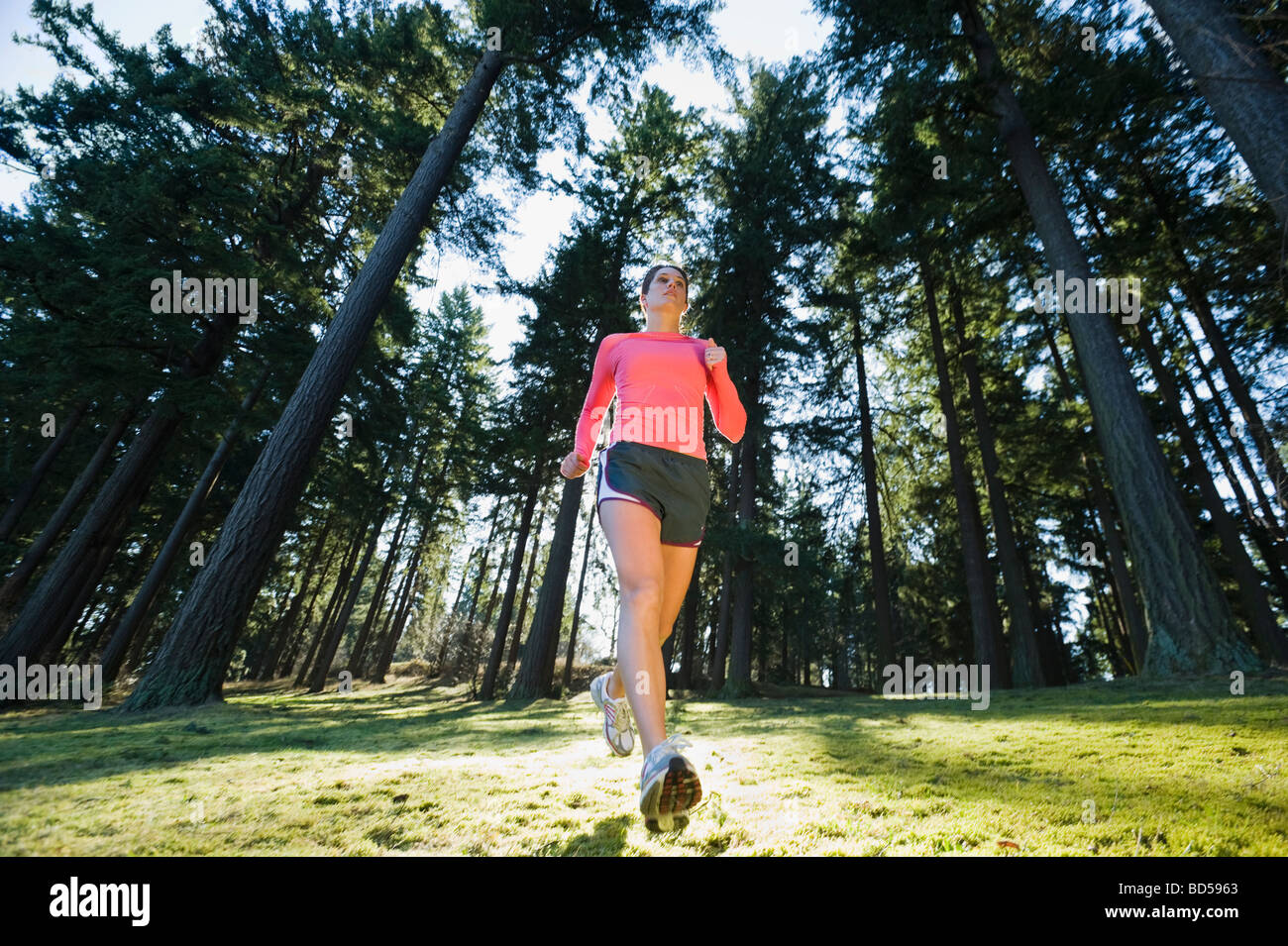 A runner in the woods Stock Photo - Alamy