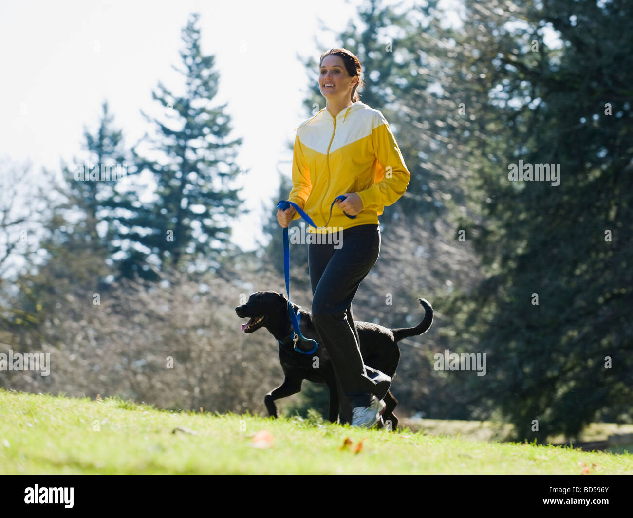 A woman with a dog outdoors Stock Photo