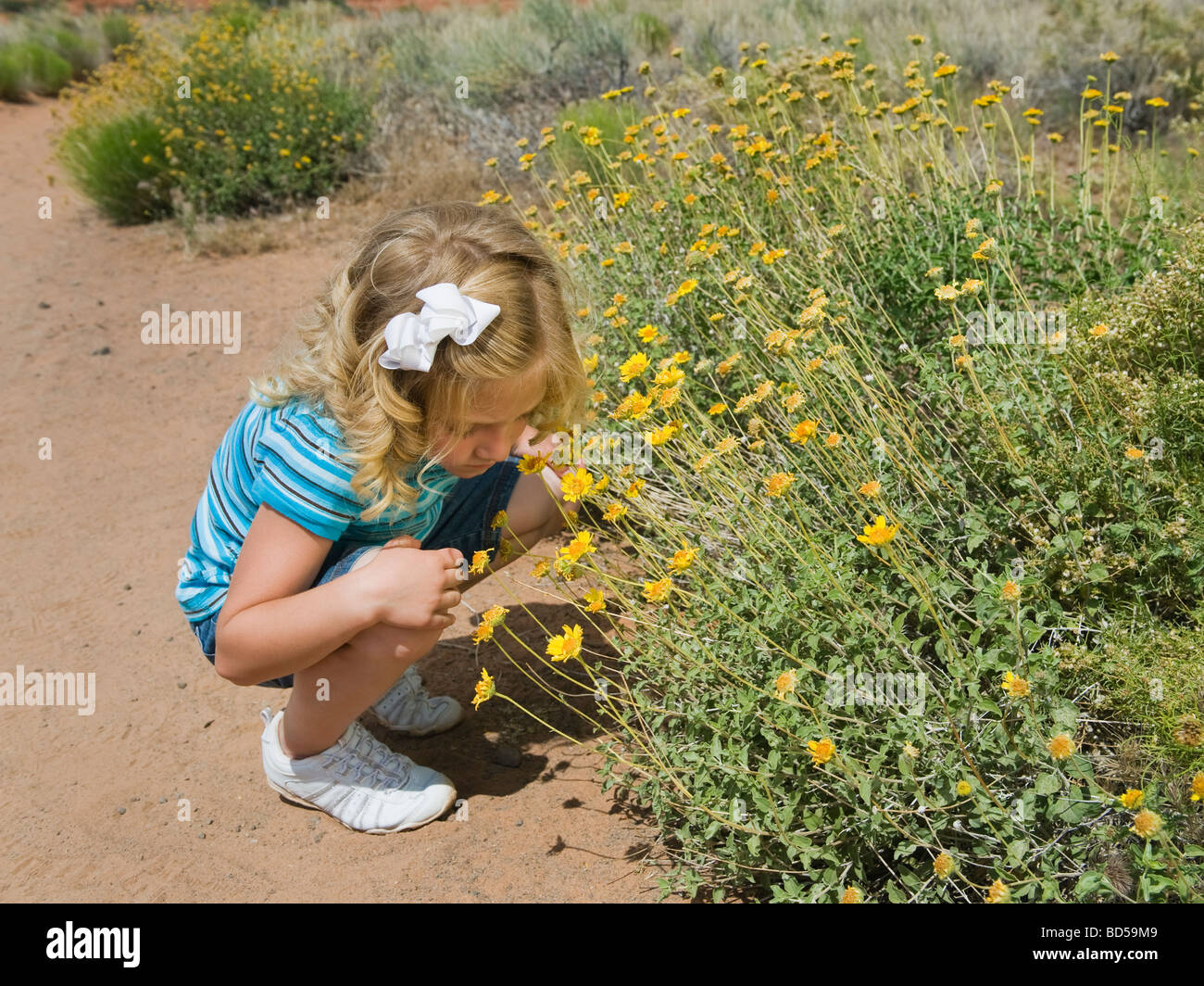 A young girl by wildflowers in Red Rock Stock Photo