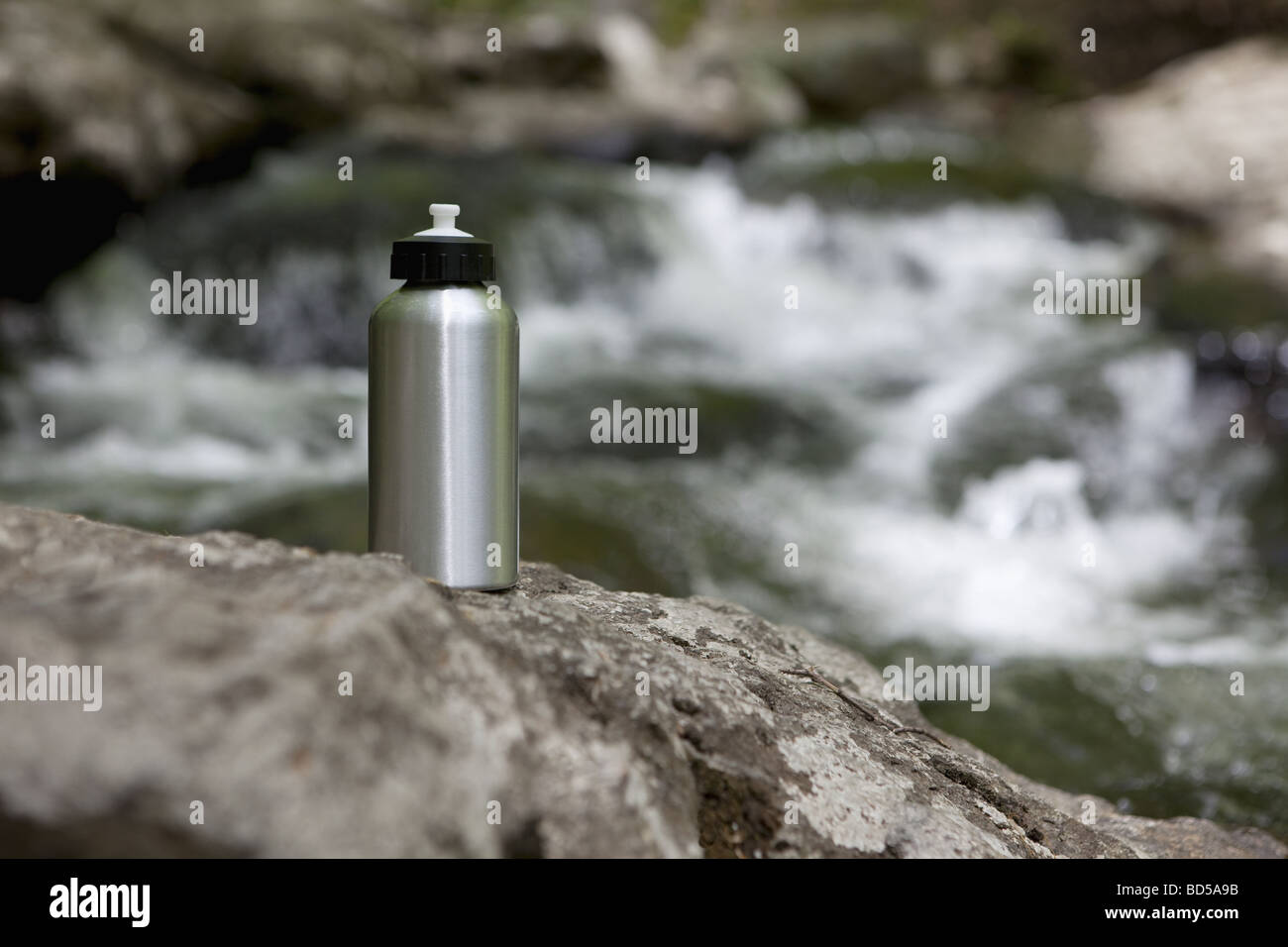 A reusable water bottle in the woods Stock Photo