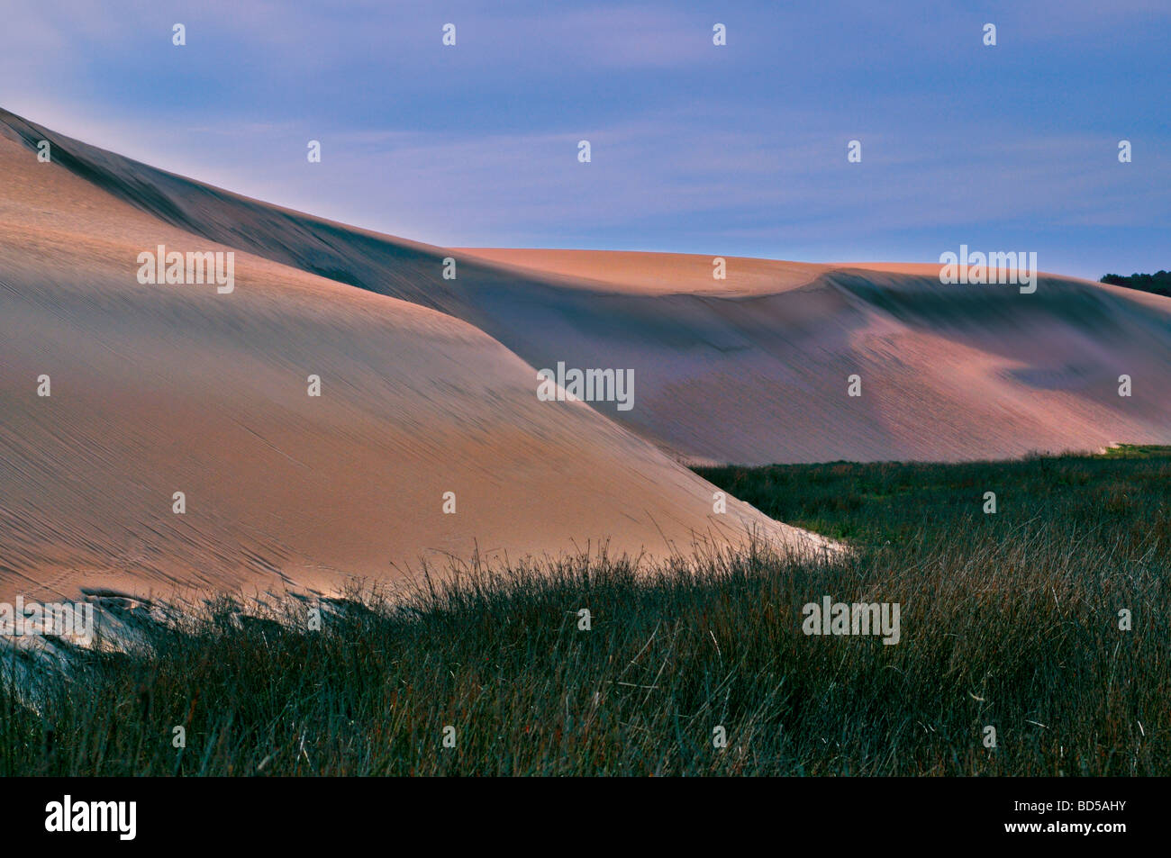 Spain, Galicia.: Drifting sand dune in the nature park Corrubedo Stock Photo