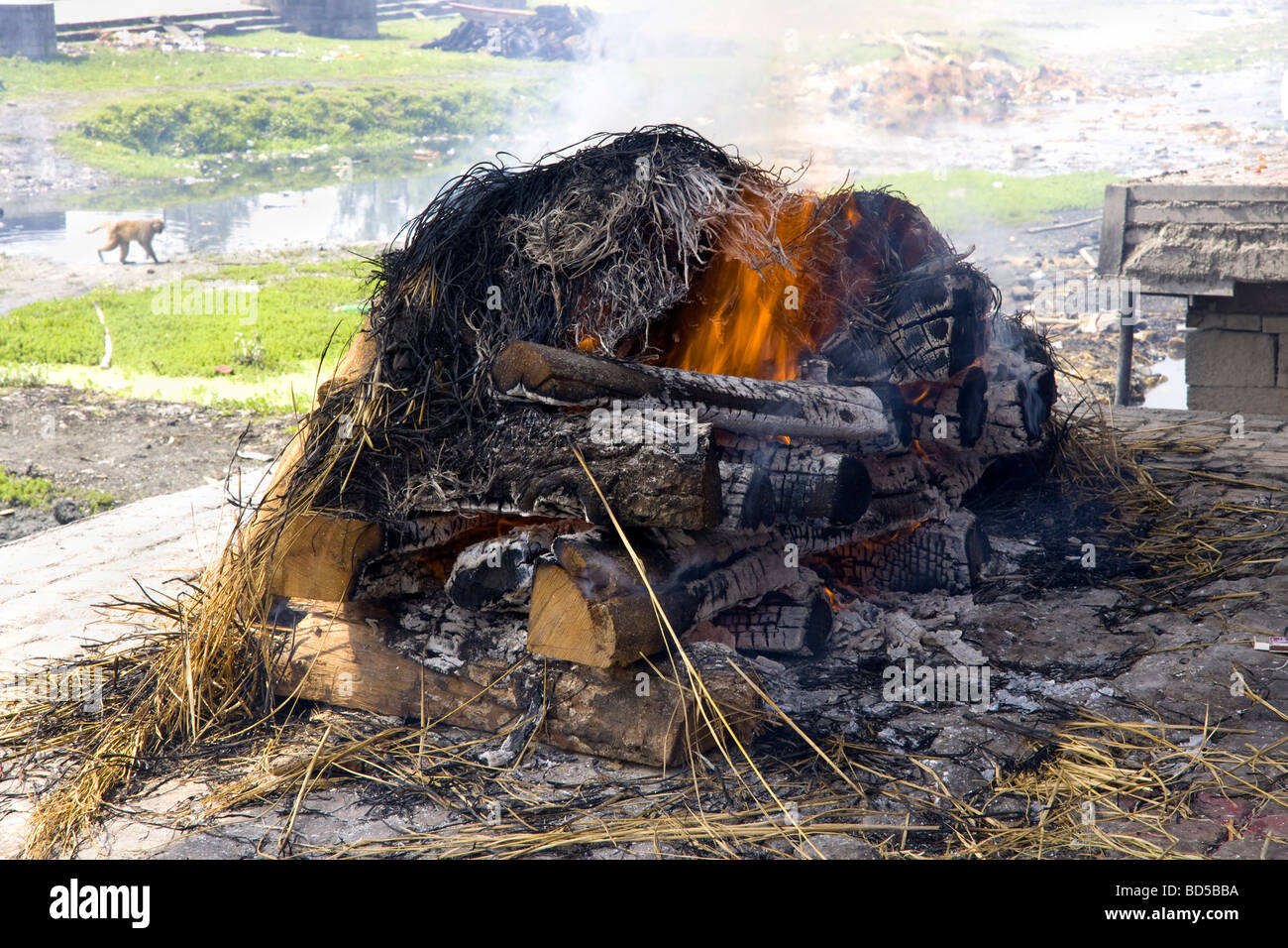 hindu funeral pyre with cremation in progress by the bagmati river