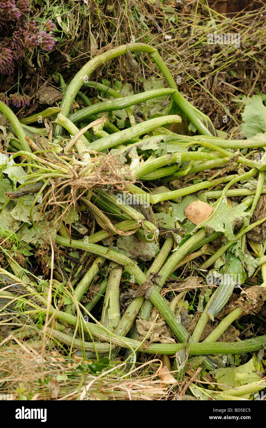 Grass cuttings compost heap hi-res stock photography and images - Alamy