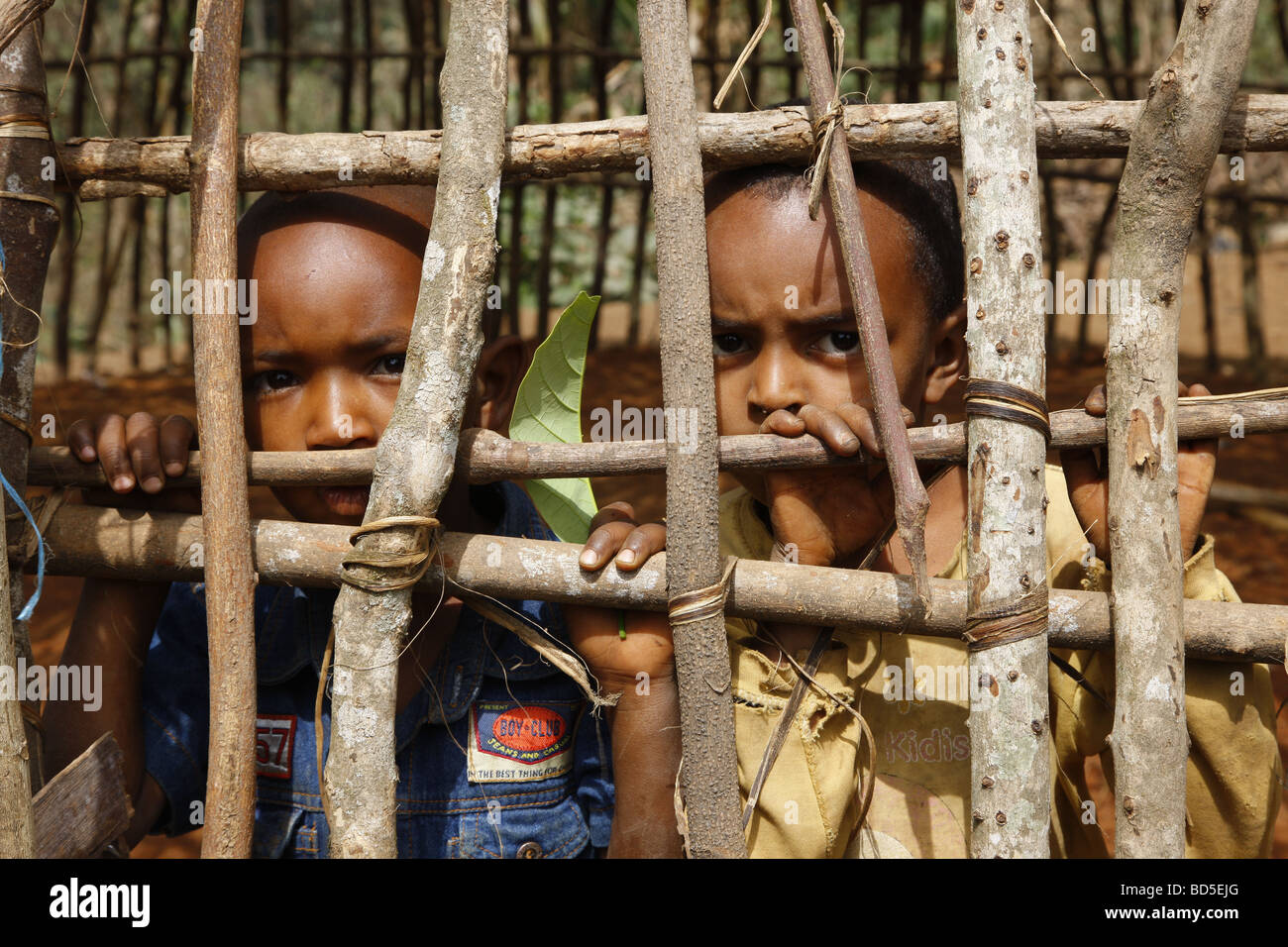 Children behind the framework of a round hut, Mbororo ethnic group, Bamenda, Cameroon, Africa Stock Photo