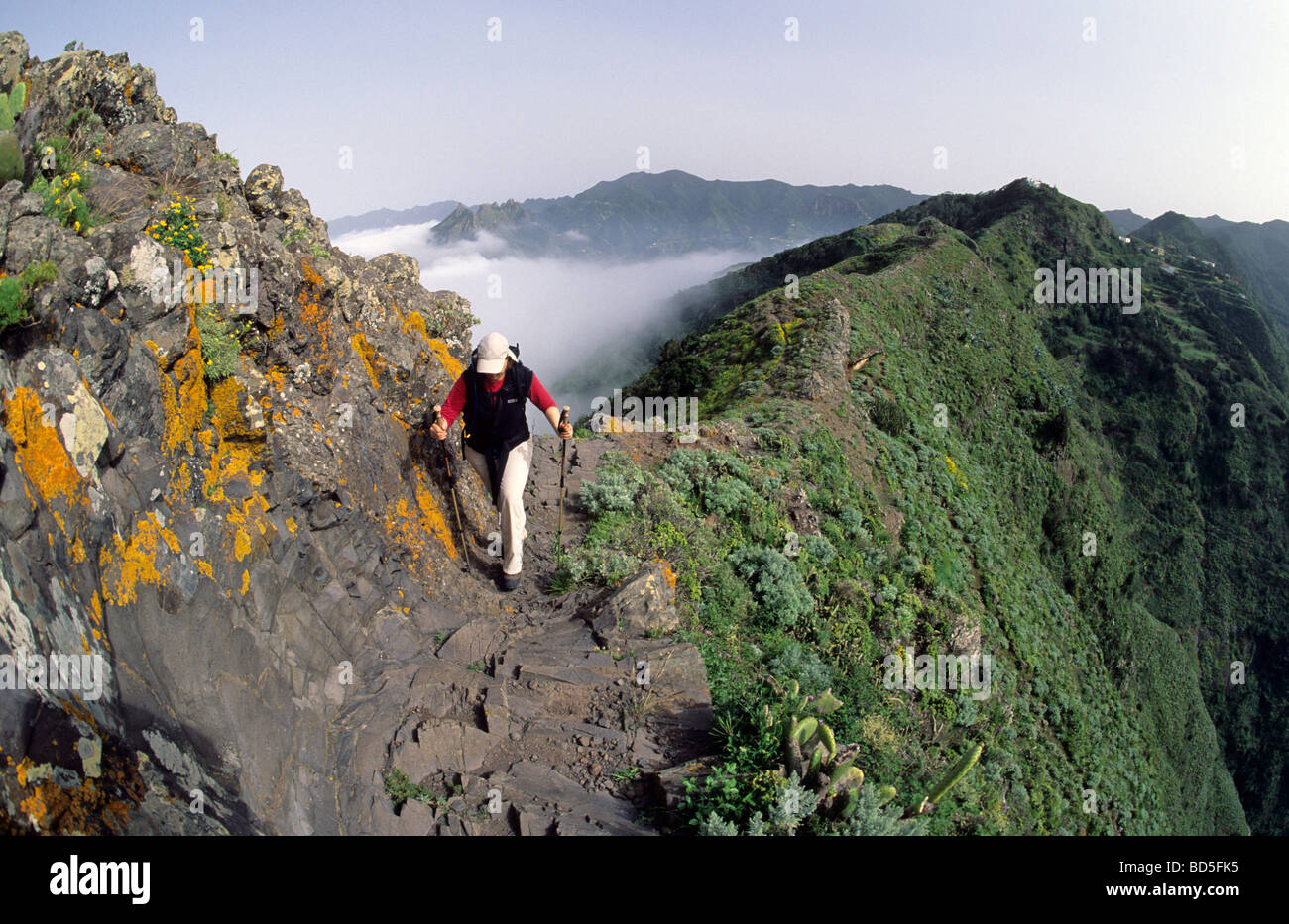 Basalt grat hi-res stock photography and images - Alamy