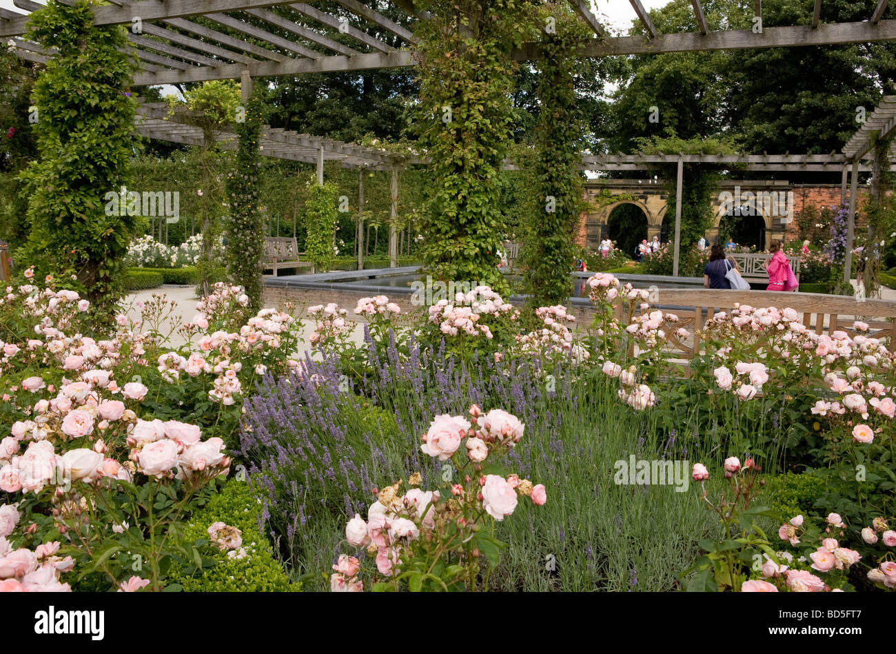 The walled garden at Alnwick Gardens in Northumberland Stock Photo - Alamy