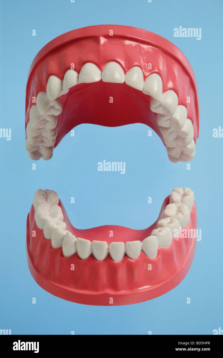Set of plastic teeth Stock Photo
