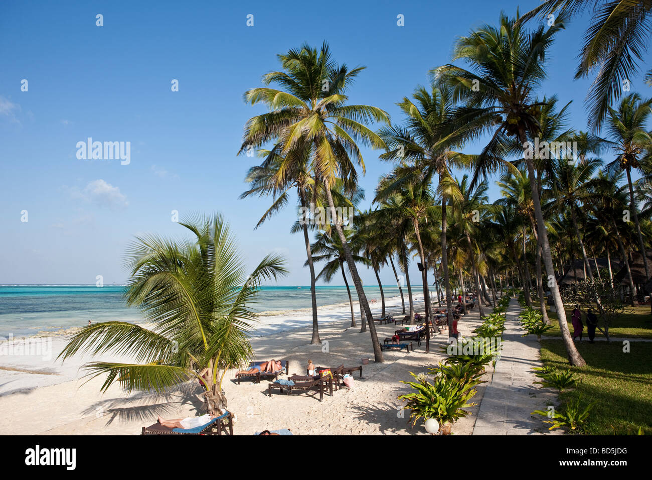Karafuu Hotel Beach Resort, Pingwe, Zanzibar, Tanzania, Africa Stock Photo