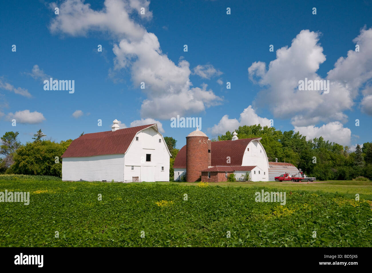 Two white barns and a farm field near Grand Forks, North Dakota, USA