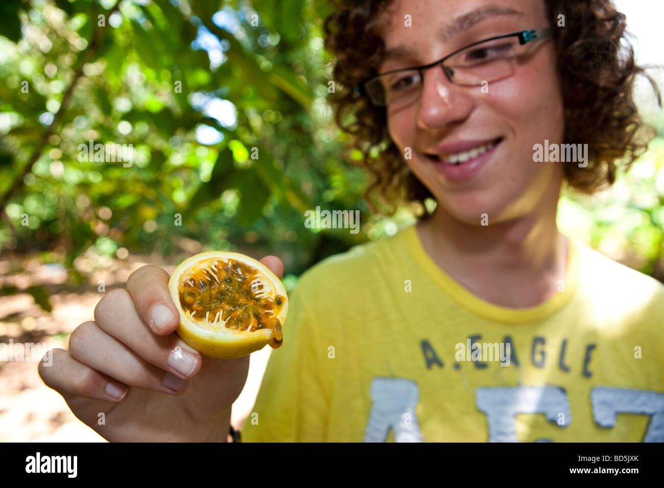 Boy holding a cut Passionfruit (Passiflora ligularis) in his hand, spice garden in Chuini, Zanzibar, Tanzania, Africa Stock Photo