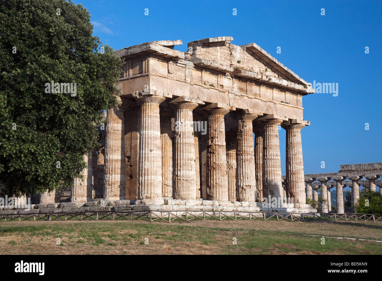 The west end of the temple of Neptune at Paestum, viewed from the northwest. Stock Photo