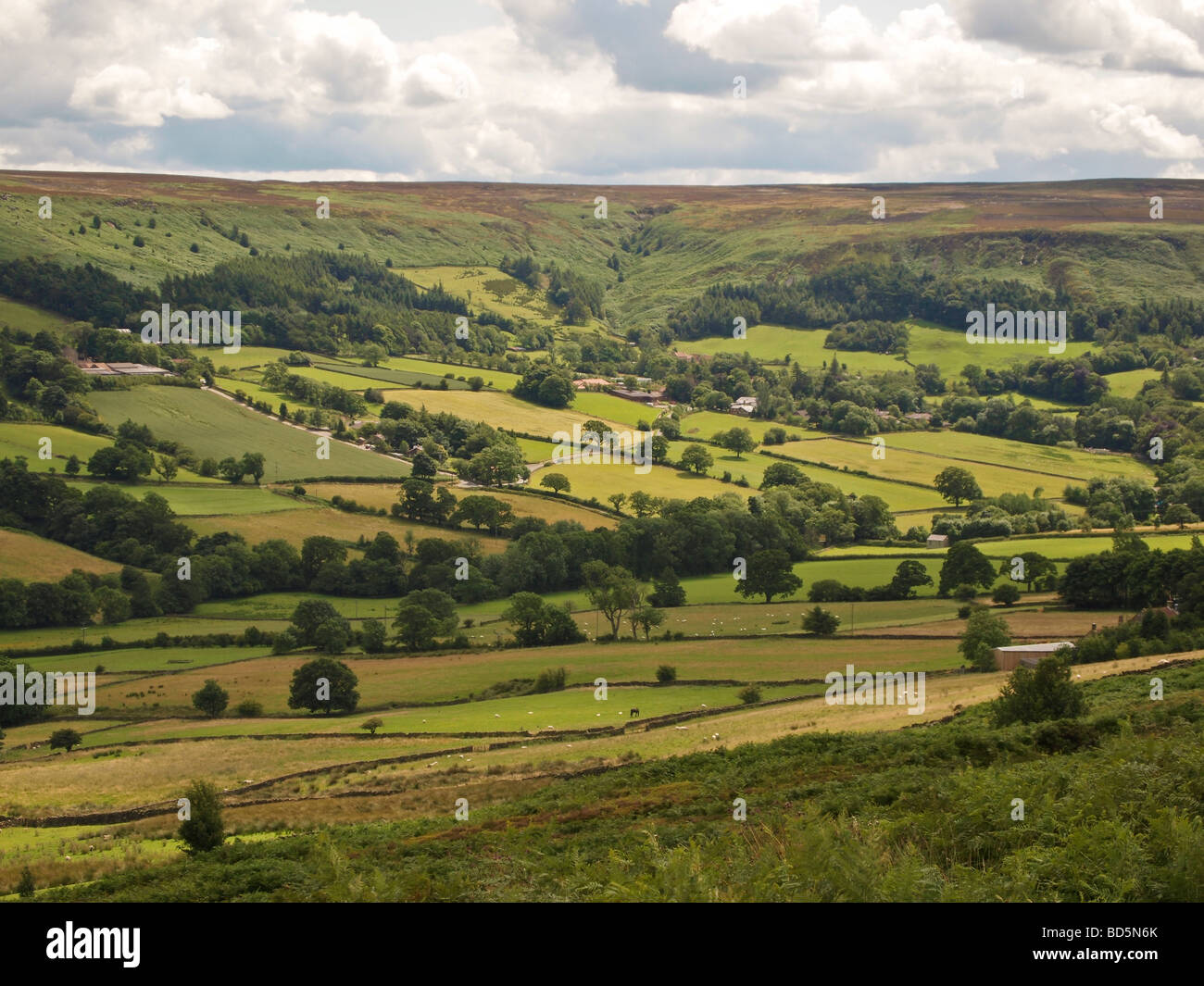 Field patterns near Danby on North York Moors Stock Photo