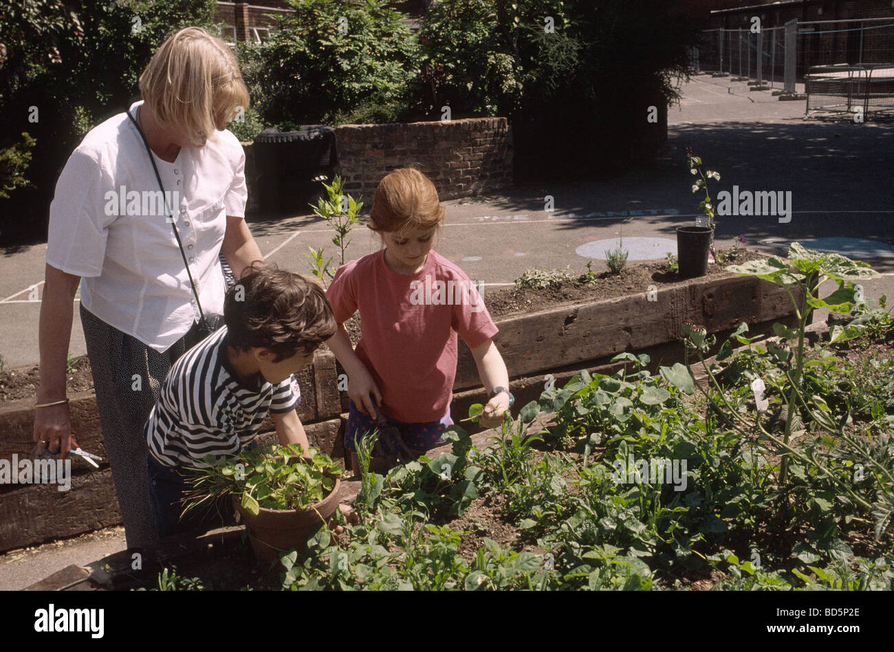 Primary school children planting in playground garden Stock Photo