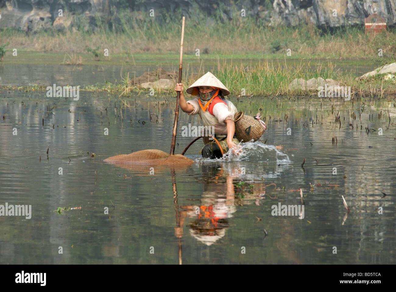 Catching fresh water shrimps Ngo Dong River Tam Coc Ninh Binh Province Northern Vietnam Stock Photo