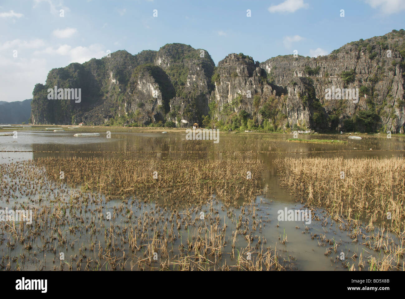 Rice fields and limestone karsts Tam Coc Ninh Binh Province Northern Vietnam Stock Photo
