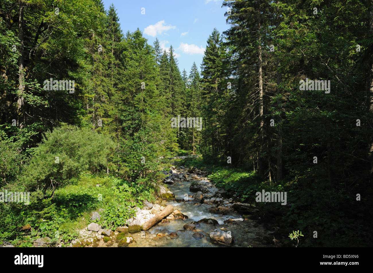 River in the German Alps, Wetterstein Mountains Stock Photo