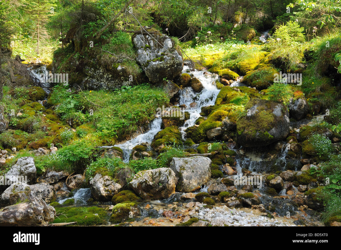 Smal creek in the German Alps Stock Photo