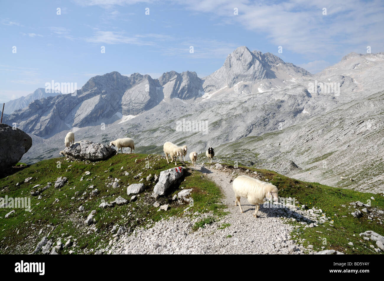Alpine landscape with grazing sheep Stock Photo