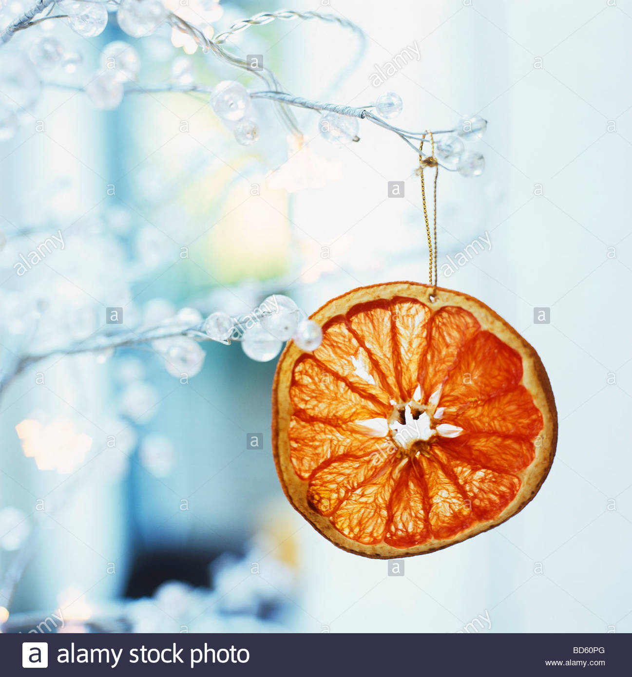 tree ornament glazed orange slice stock photo 25333240 alamy