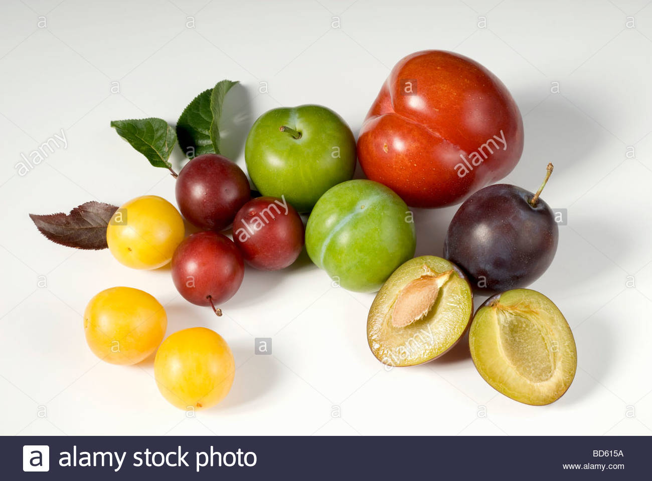 Varieties of plums Varieties of plums