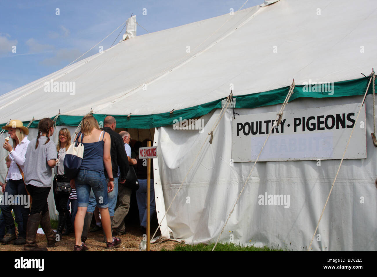 The poultry & pigeon tent at the Bakewell Show, Bakewell, Derbyshire, England, U.K. Stock Photo