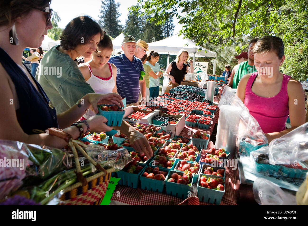 Many varieties of berries at farmers market in Bend, Oregon Stock Photo
