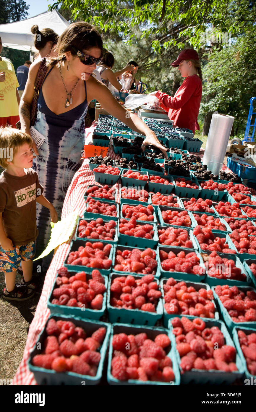 Many varieties of berries at farmers market in Bend, Oregon Stock Photo