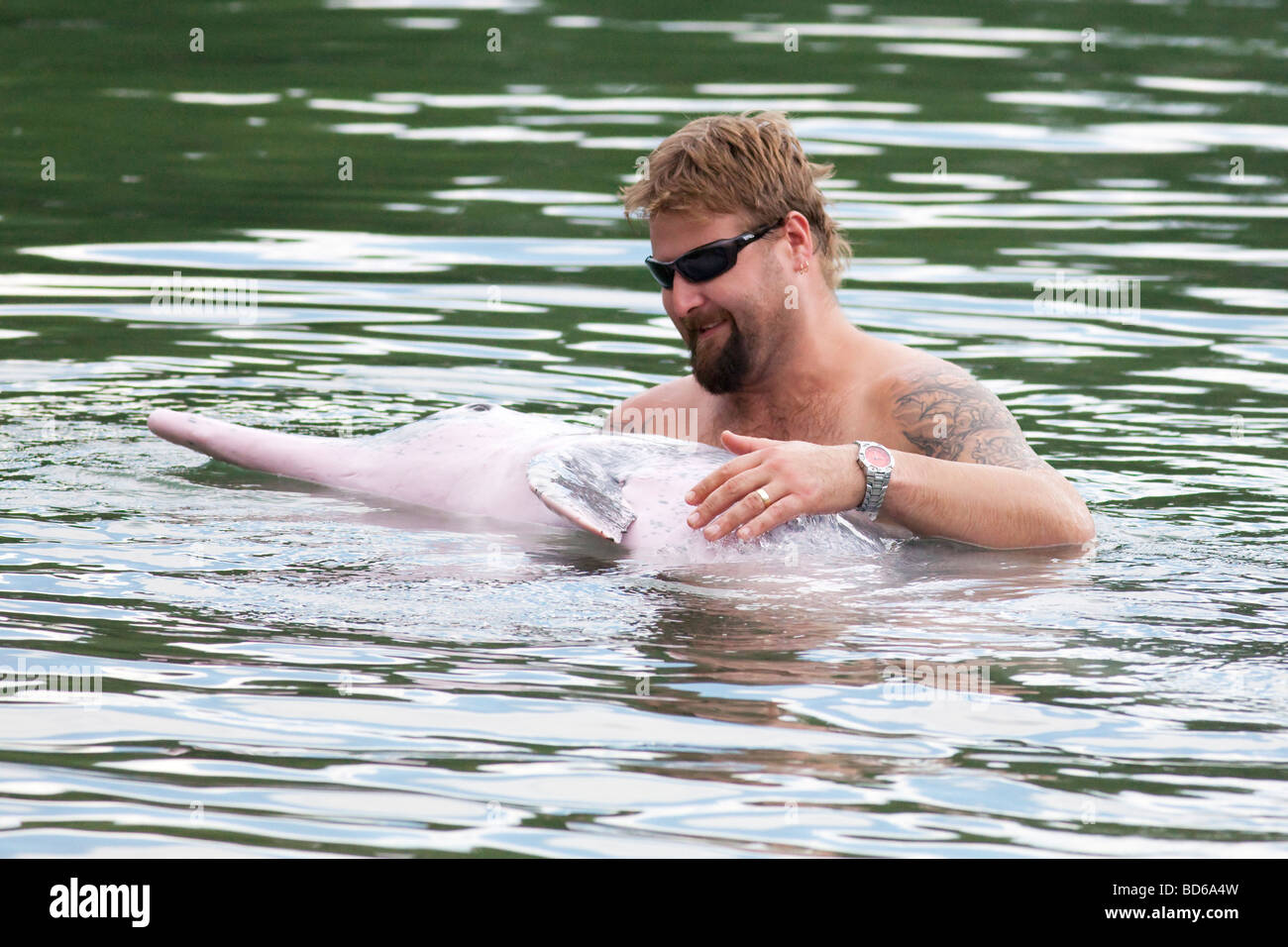 A man and a pink dolphin at Singapore Aquarium Stock Photo
