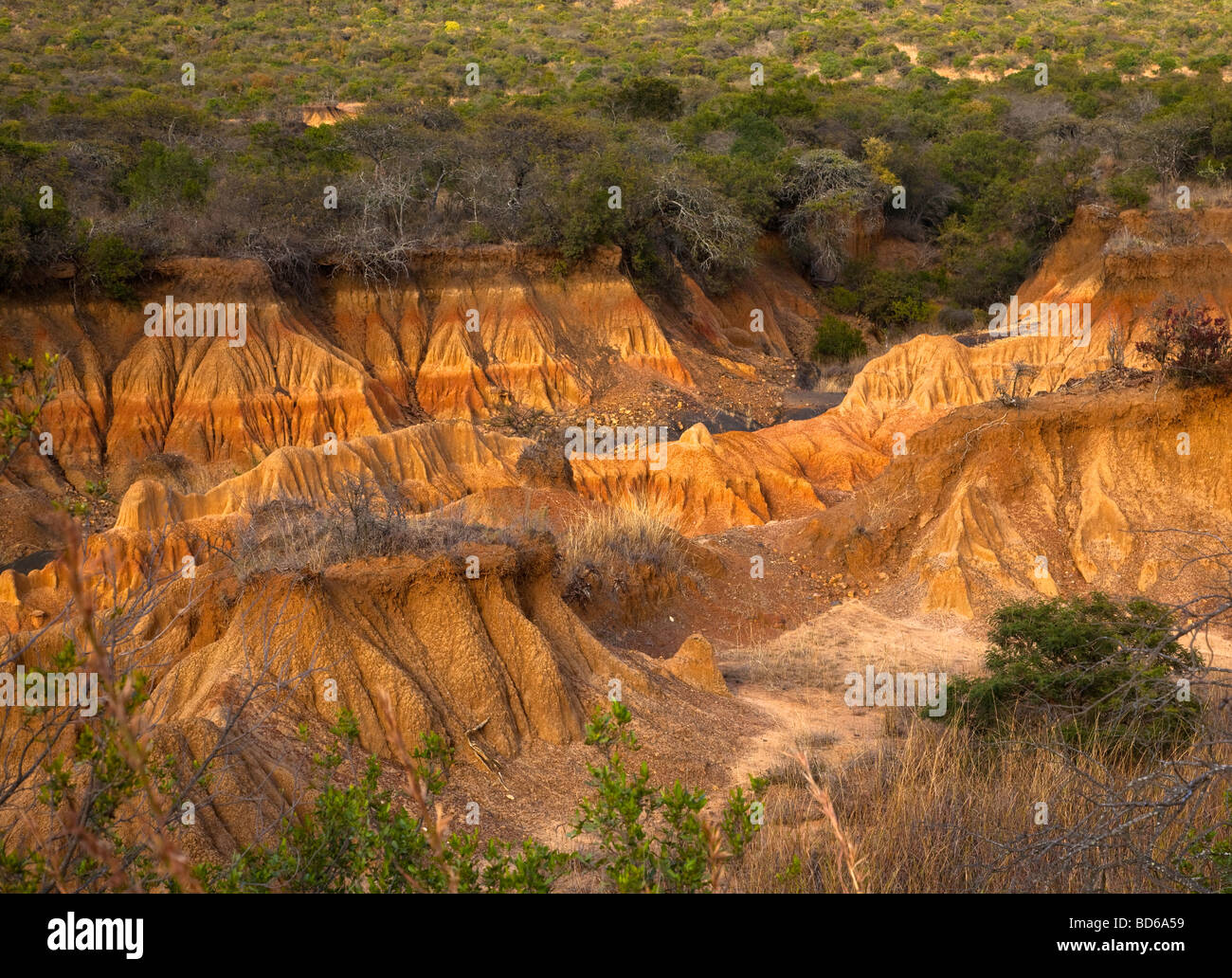 soil erosion Stock Photo