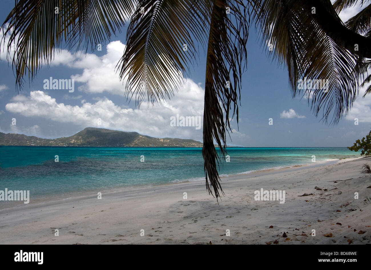Palm Fronds Over the White Coral Sandy Beach at Petit Saint Vincent, Caribbean with Union Island in the Distance. Stock Photo