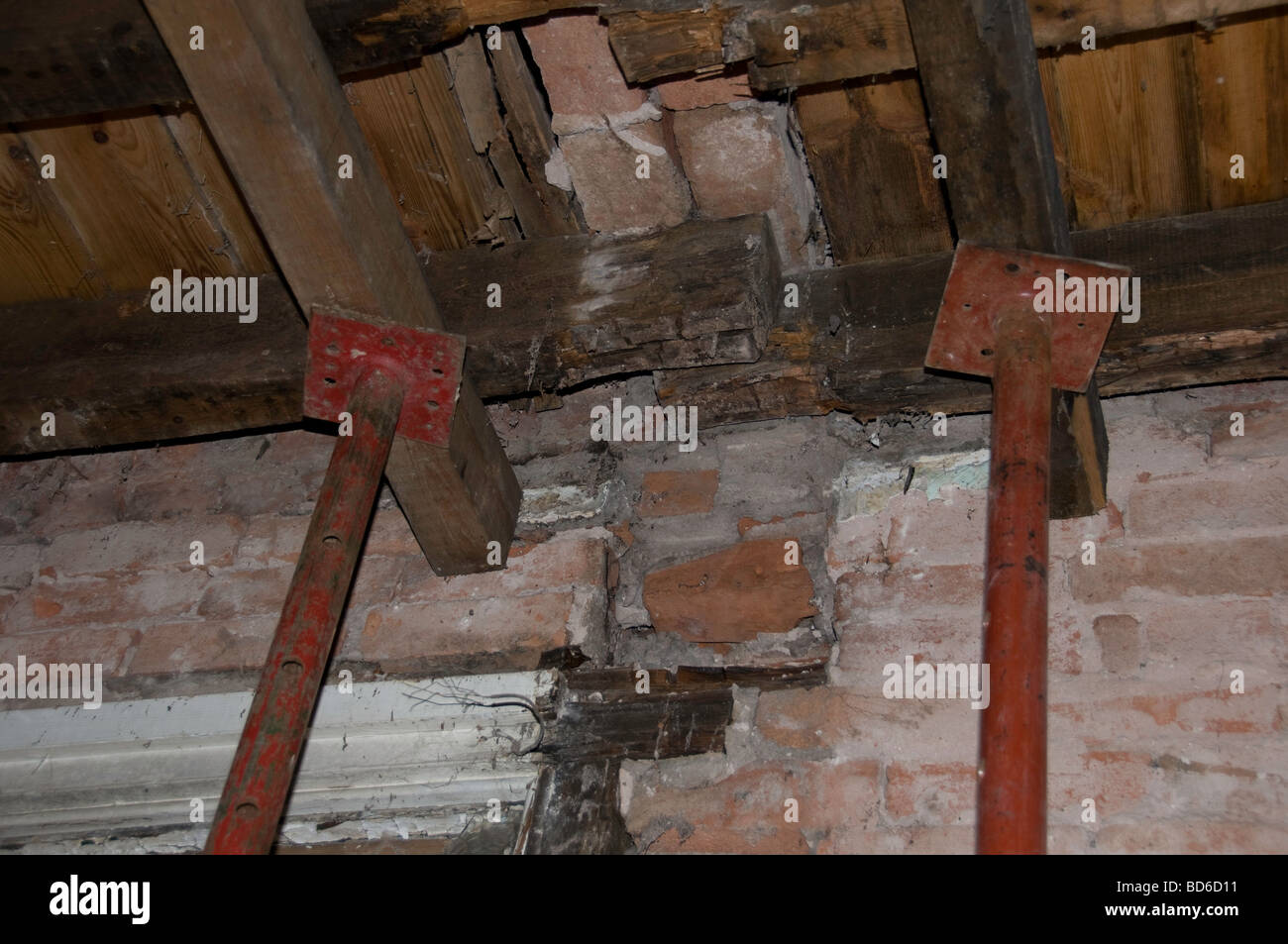 Wood Wet Rot Fungal Growth Stock Photos Wood Wet Rot Fungal