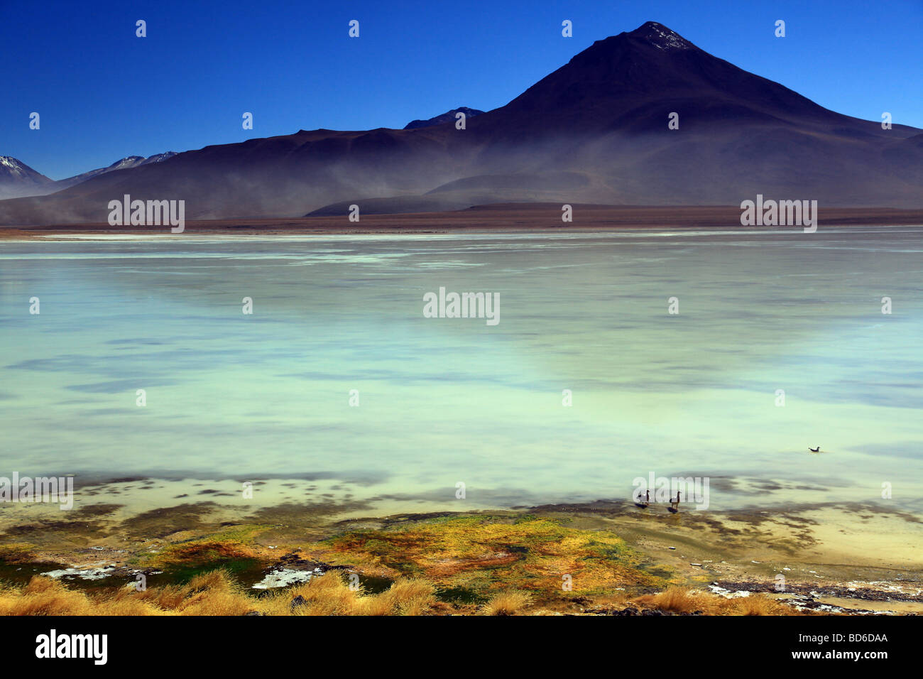 Bolivia Altiplano (Spanish for high plain Stock Photo Alamy