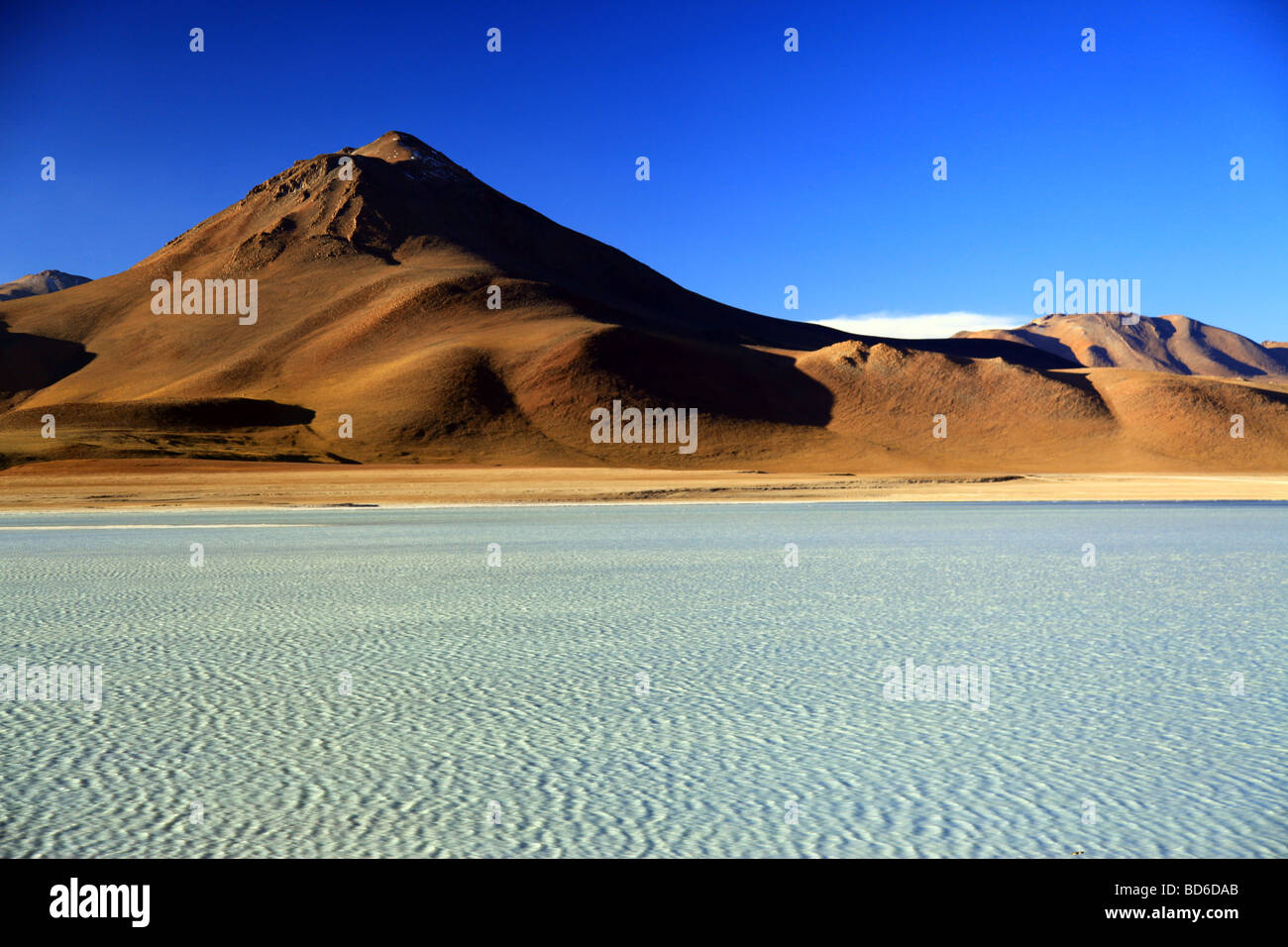 Bolivia Altiplano (Spanish for high plain Stock Photo Alamy