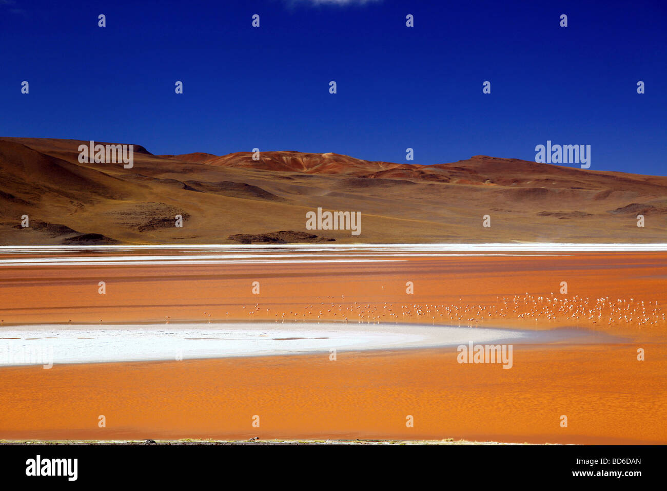 Bolivia Altiplano (Spanish for high plain Stock Photo Alamy