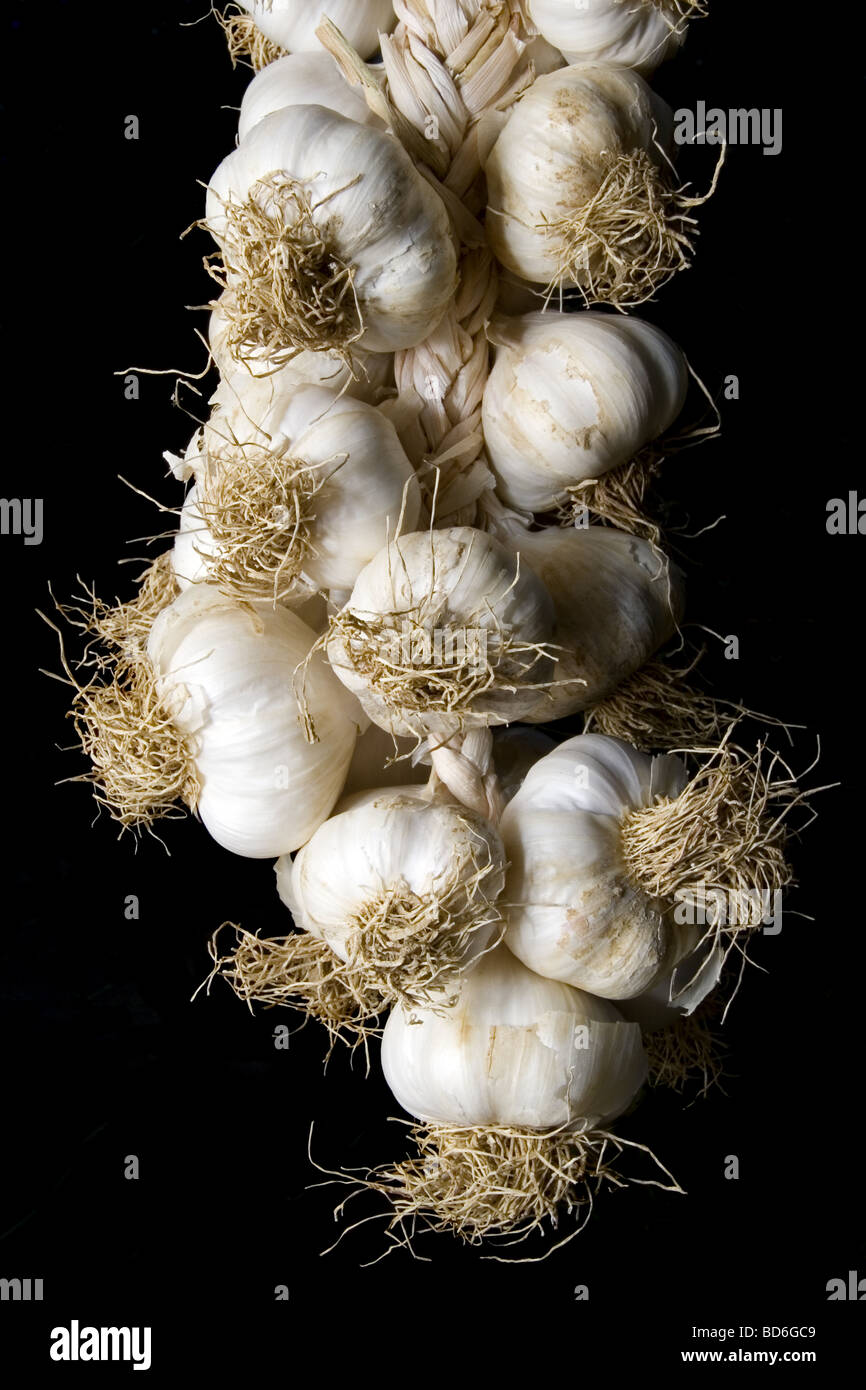 Garlic plait isolated on black background Stock Photo