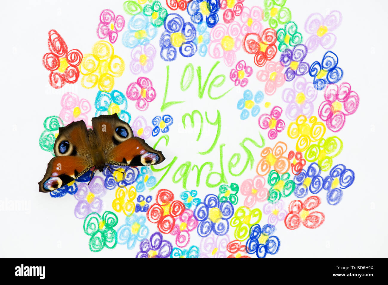 Aglais io. Peacock butterfly on love my garden and multicoloured flowers drawing Stock Photo