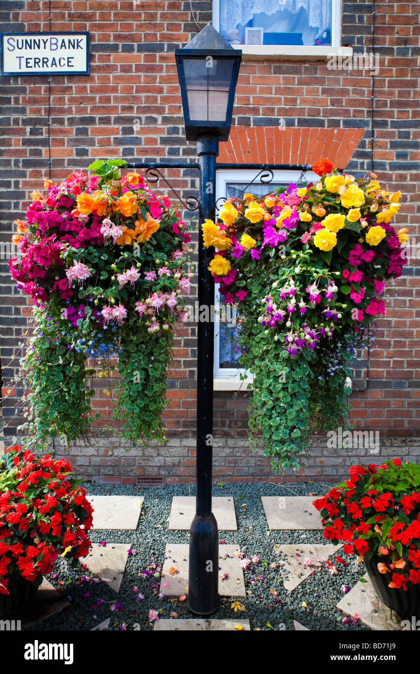 Baskets of hanging flowers hi-res stock photography and images - Alamy