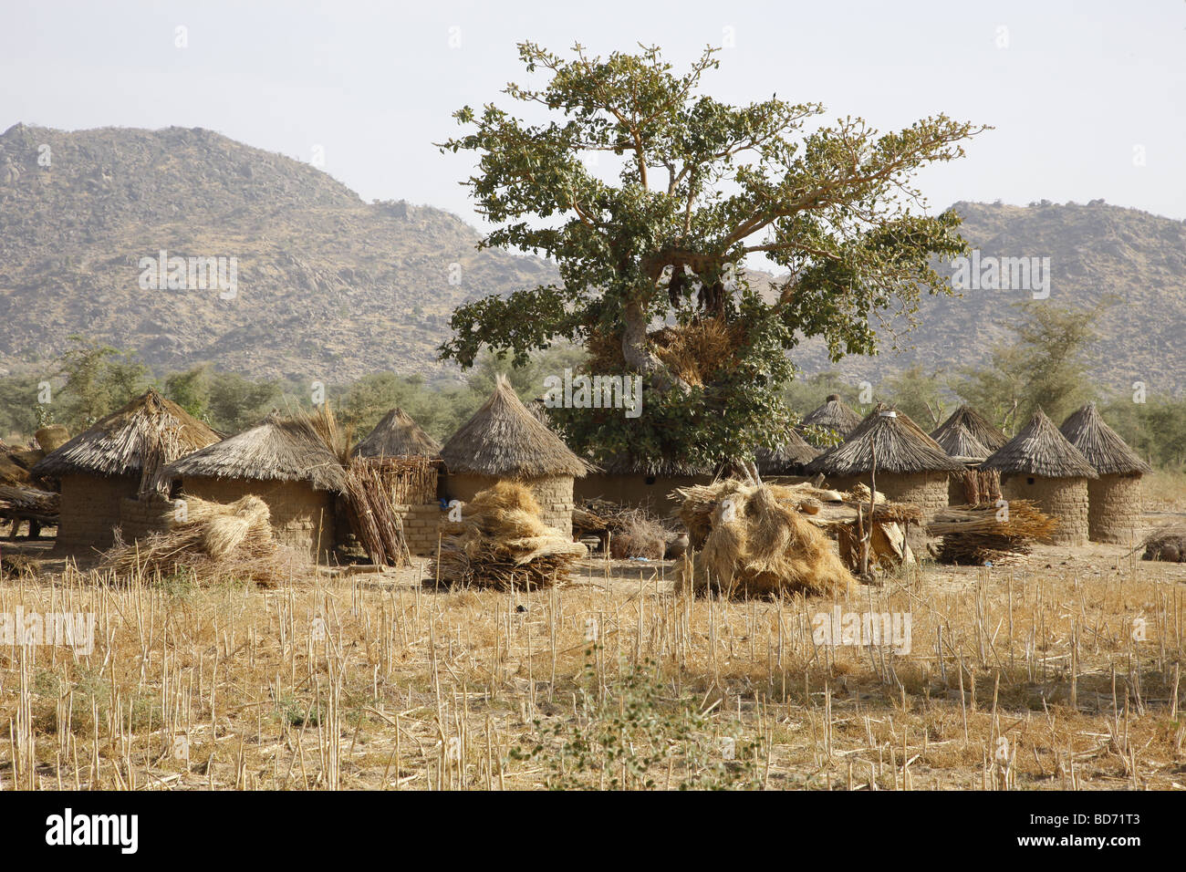 Village with round huts near Mora, Cameroon, Africa Stock Photo