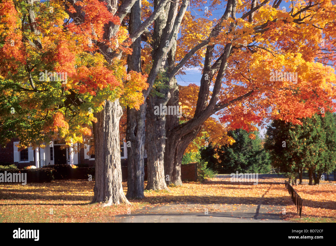 Indian Summer in New England, USA Stock Photo