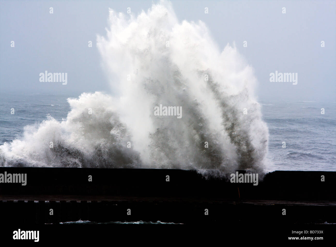 Typhoon Morakot sends large waves crashing into the breakwater wall at a port in Hualien City as it hits the east coast of Taiwan on Aug. 8, 2009 Stock Photo
