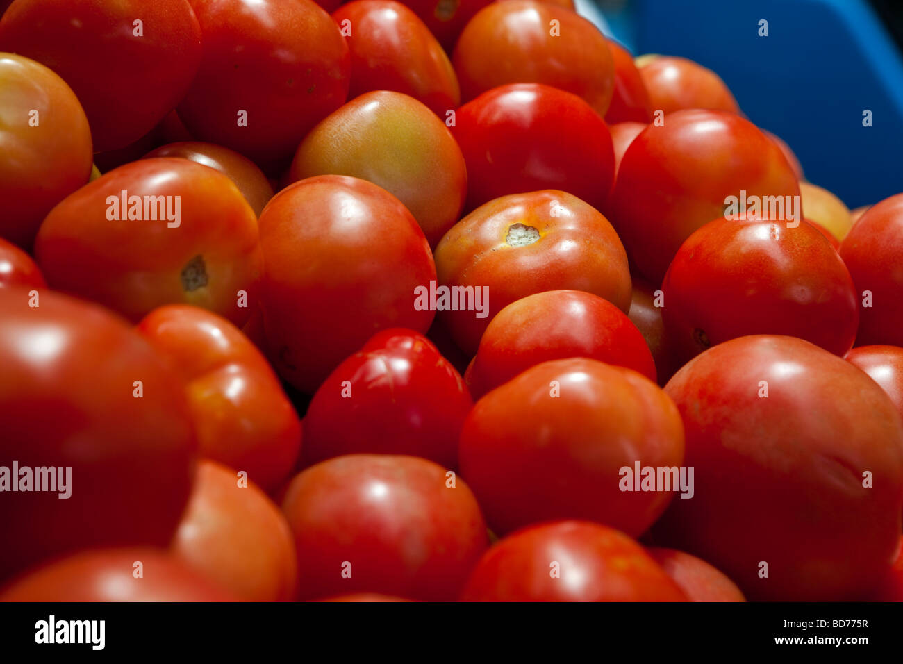 Vegetable close Up in Chinatown Market Singapore Stock Photo