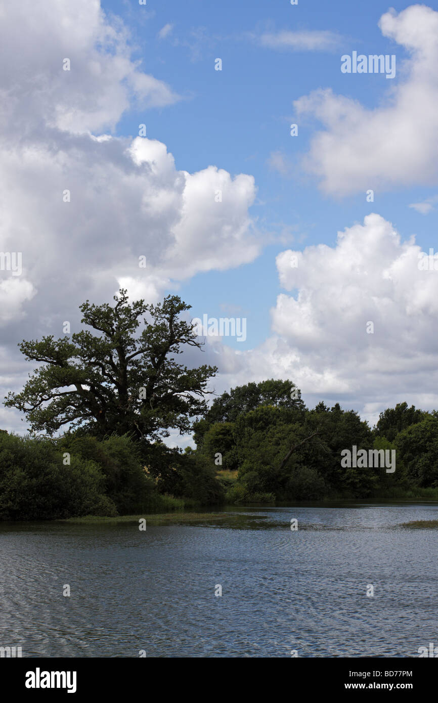 Pool Hall Fisheries, near Wolverhampton Stock Photo Alamy