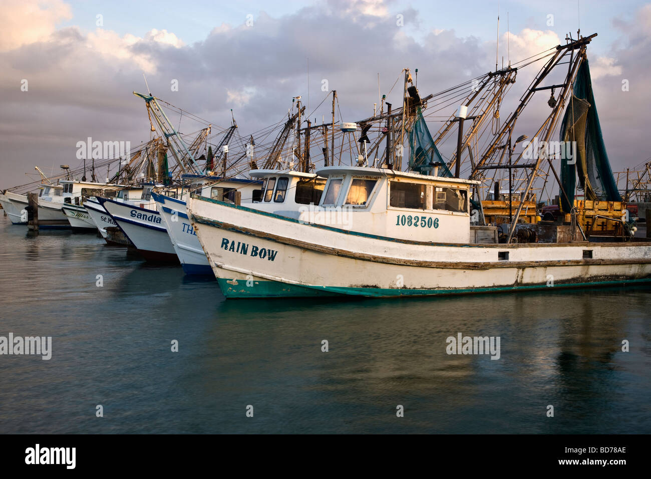 Fishing fleet  'shrimpers' moored at docks. Stock Photo