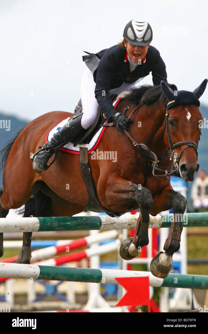 Show jumper and horse Stock Photo Alamy