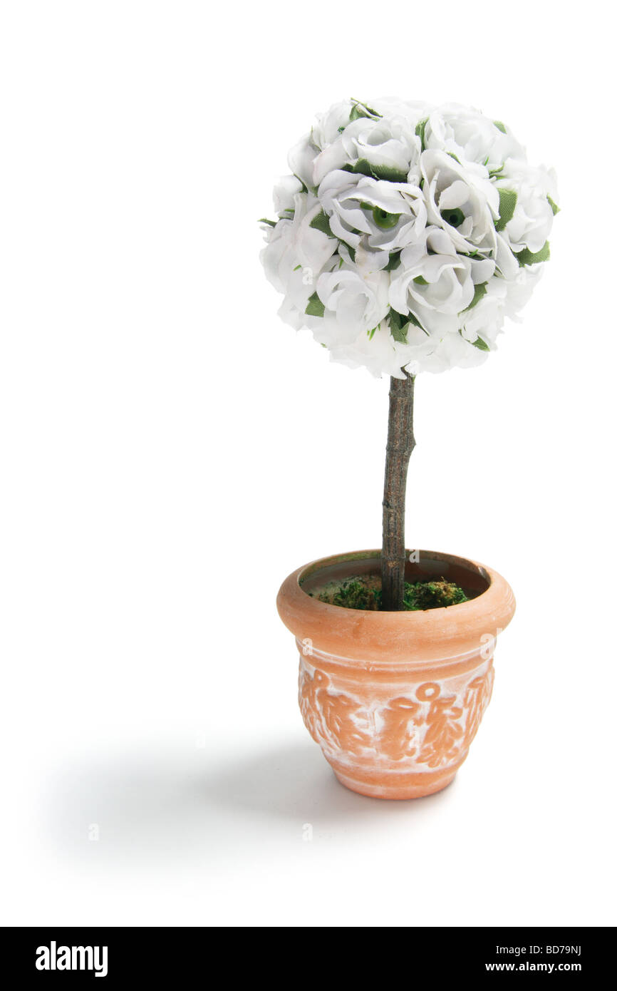 Artificial Pot Plant Stock Photo Alamy