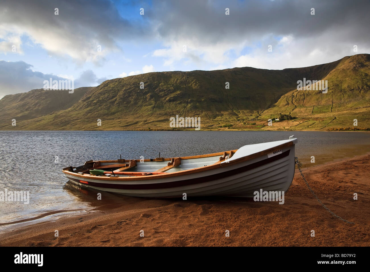 Rowing boat used for angling moored on the banks of an Irish lake in